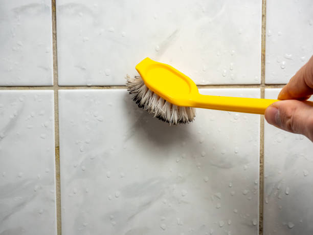 Mcdonald, PA Mold Removal Company