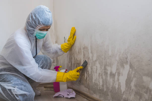 Best Mold Cleaning Services  in Mcdonald, PA